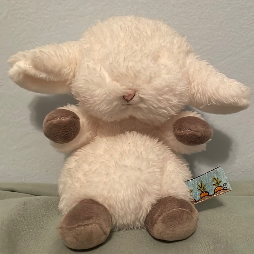 reserved listing for kiwi